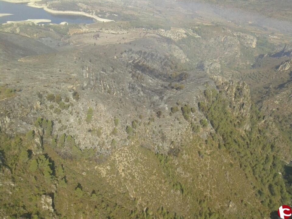 Bomberos de parque de Villena participan desde anoche en las labores de extinción de un incendio forestal que se declaraba en la localidad alicantina de Planes