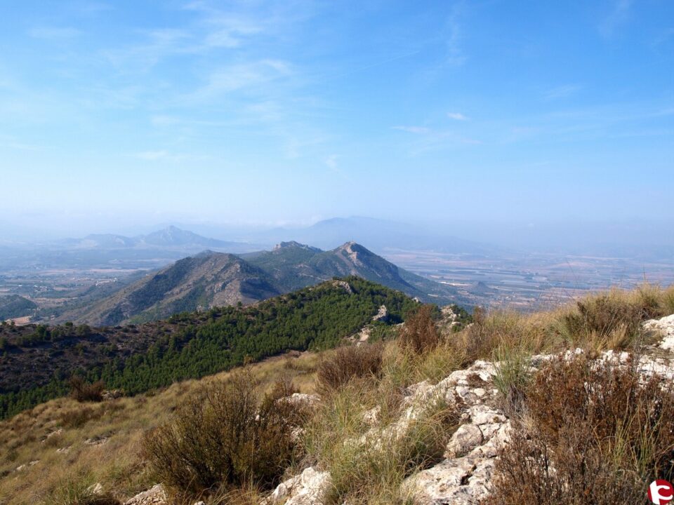 AVIANA