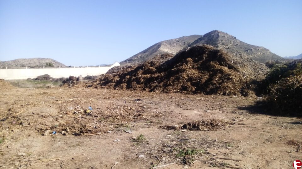 Nota de prensa UPyD sobre los desechos de podas