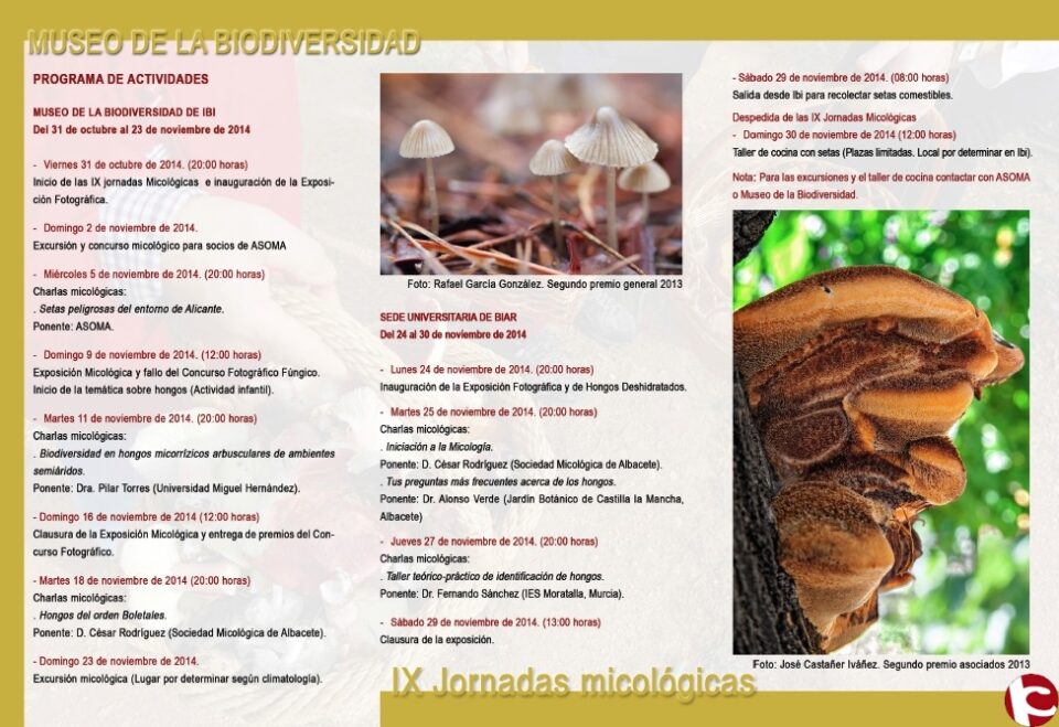 Pròximes activitats de la Seu Universitària a Biar: Teatro UPUA "La Memoria de los objetos; y las IX JORNADAS MICOLÓGICAS