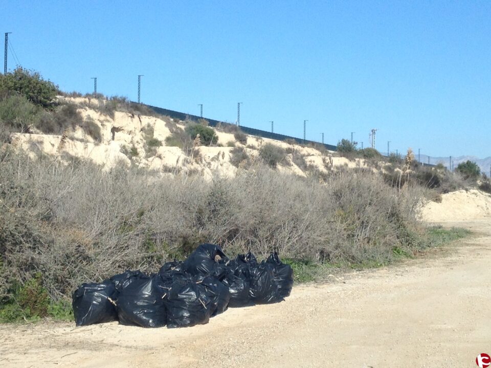 EL AYUNTAMIENTO DE ASPE CONTRATA A CUATRO PERSONAS EN PARO PARA LA LIMPIEZA DEL PARQUE DE LOS ALGEZARES Y DEL RÍO TARAFA
