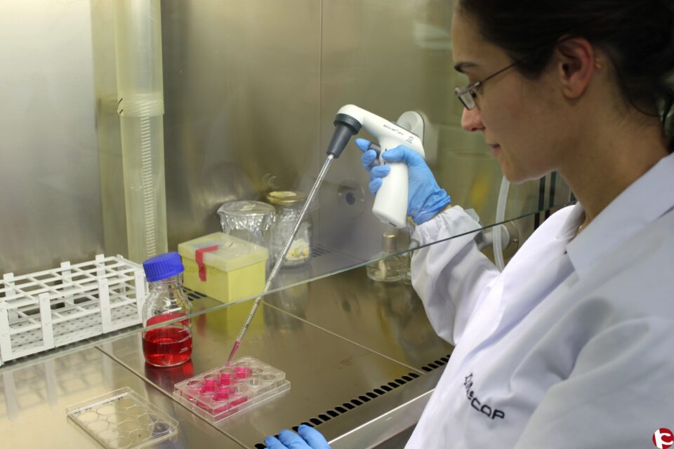 AINIA e INESCOP desarrollan sistemas que permiten evaluar el impacto sobre la salud de productos antes de ser consumidos