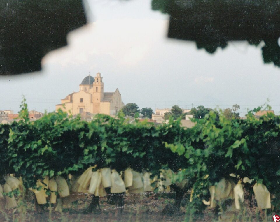 Monforte recicló en 2014 más de 270 toneladas