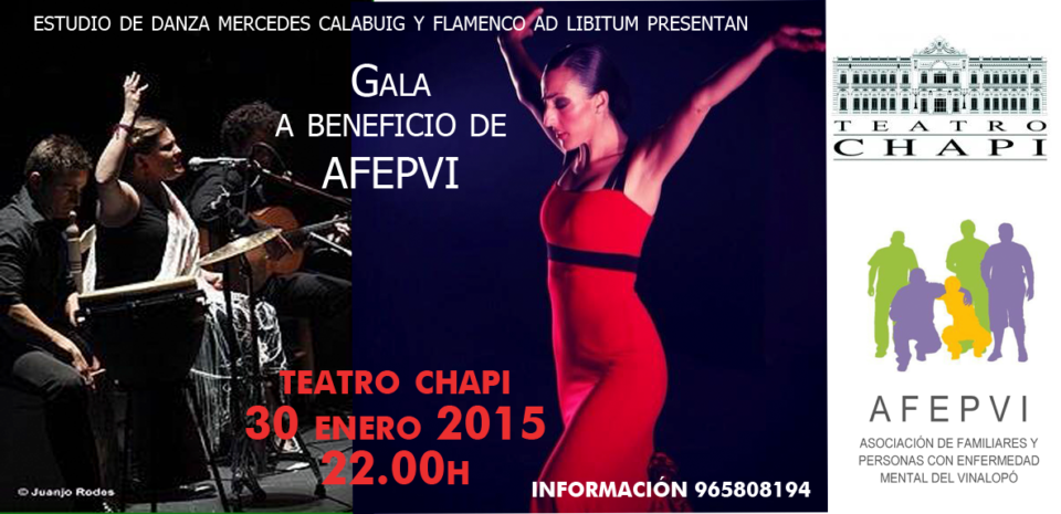 Gala a beneficio de AFEPVI