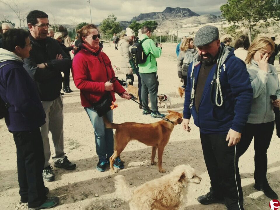 La Asociación de Amigos del Perro de Petrer APROPET