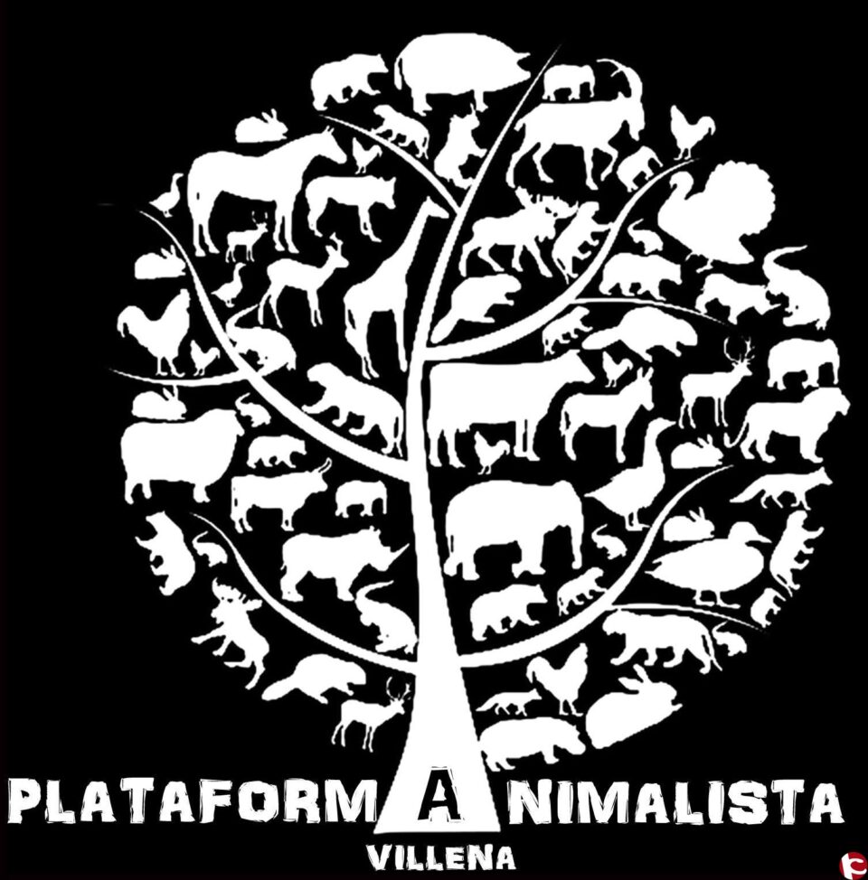 Nota de prensa de la Plataforma Animalista sobre el Decreto respecto a la corrida de toros de hace alguna semana