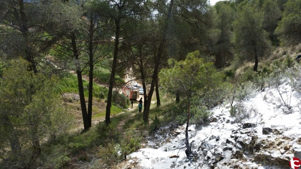 Conato de incendio forestal en Biar