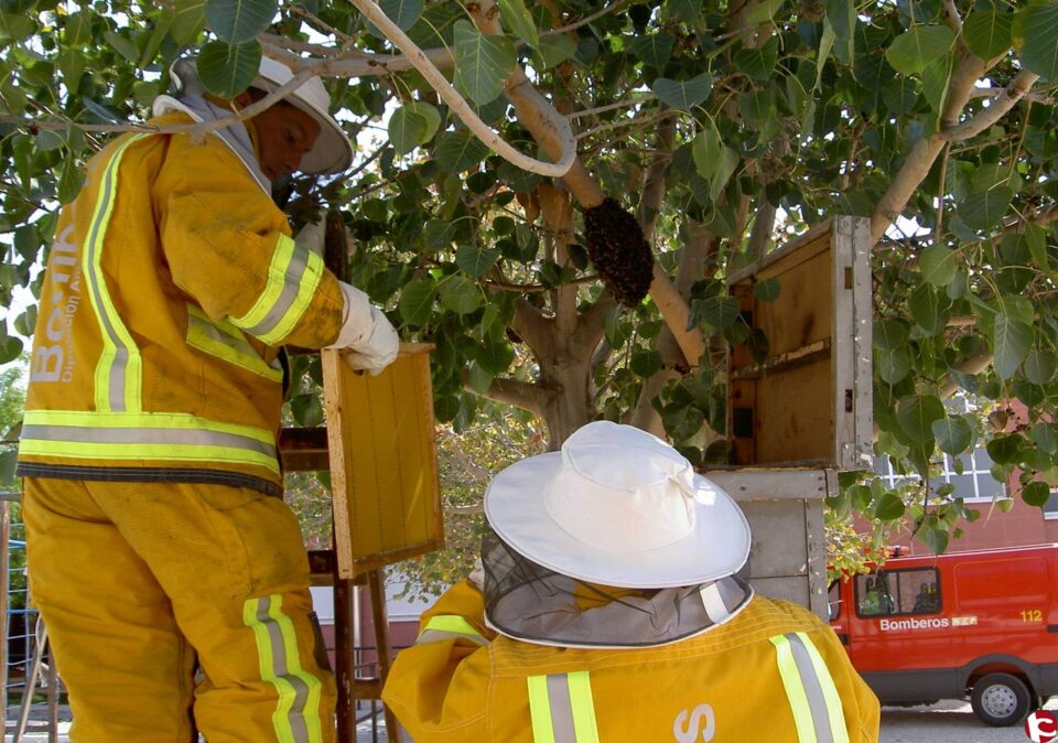 Intervenciones de los bomberos en el fin de semana.