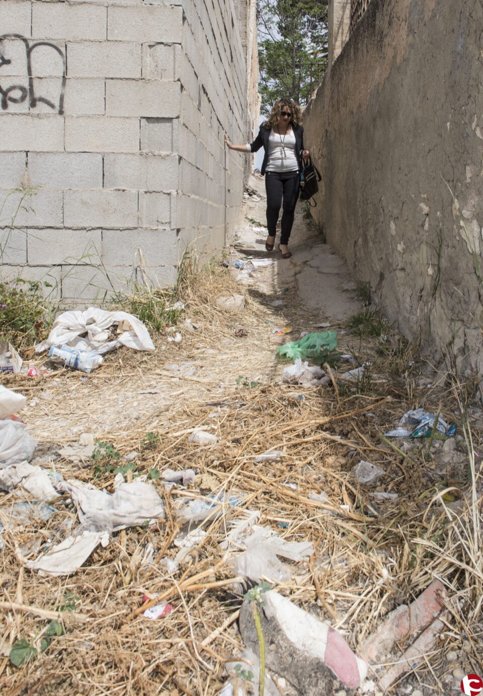 UPyD va a ´recuperar ya´ el Castillo