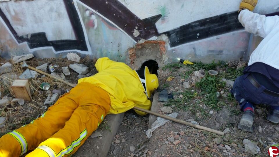 Se incendia una cosechadora y una gran cantidad de cereal en el término de Villena