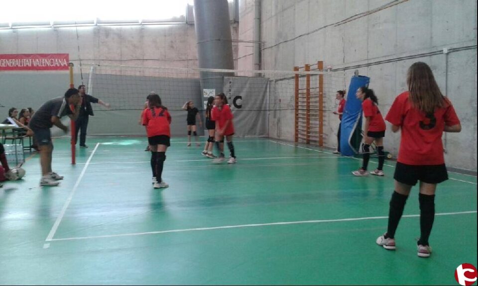 El CP. BIAR 1 (MINIVOLEI) aconseguix el Subcampeonat Provincial