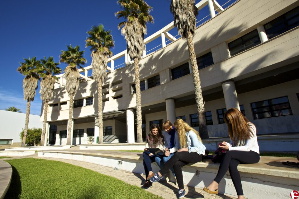 La Universidad de Alicante ofrece para el próximo curso 42 titulaciones