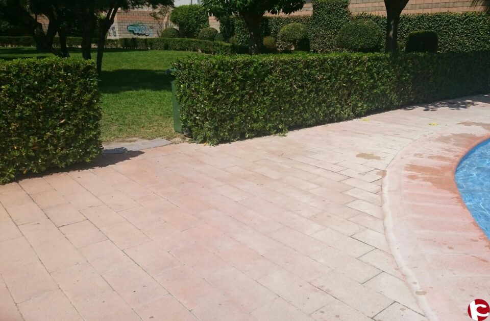 Denuncia estado piscinas de verano Ciudadanos C´s Petrer