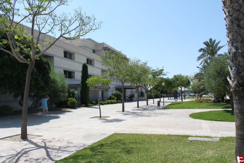 Las empresas que invierten en responsabilidad social son más rentables