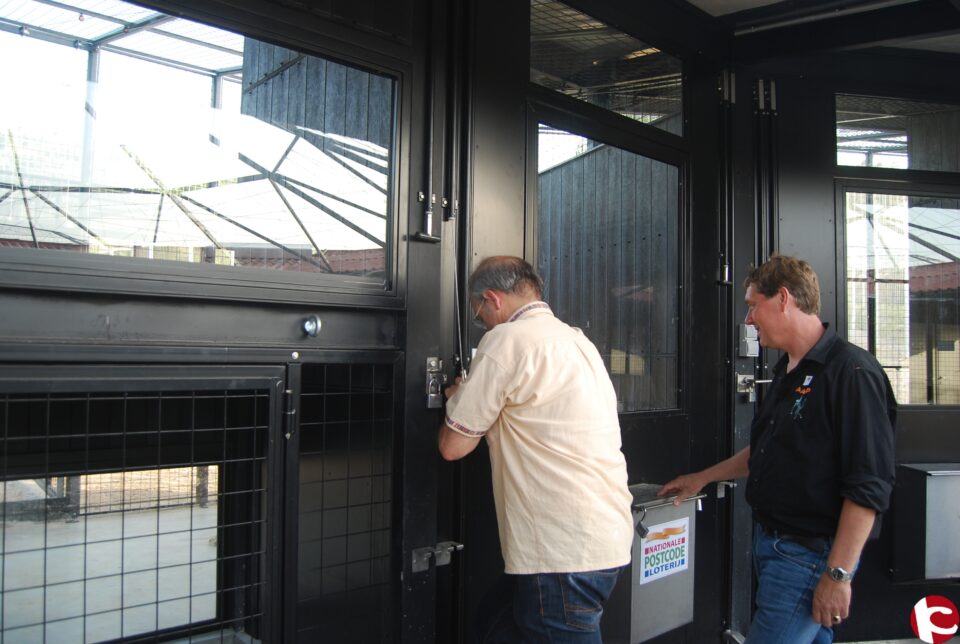 Día histórico para la protección animal en Villena gracias a Primadomus