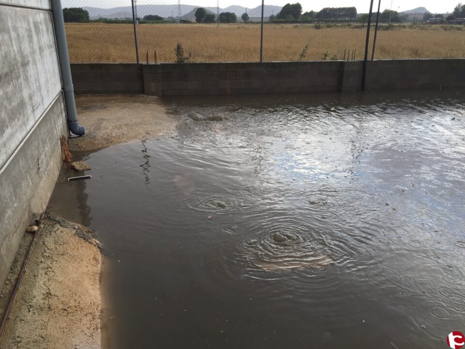 HIJOS DE VICENTE SERRA S.L.: "Ahogándonos en la porquería una vez más"