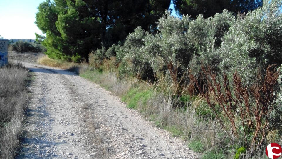 Ciudadanos Villena: "CONSIDERAMOS LAMENTABLE LA SITUACIÓN OCURRIDA EN LA RONDA ESTACIÓN"