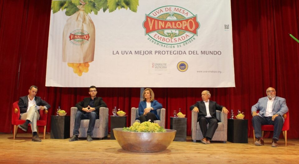 Hoy se ha presentado el inicio de la campaña 2015/16 de la D.O.P. Uva