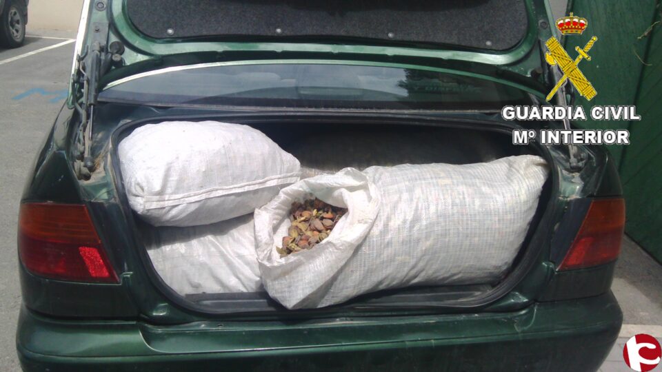 La Guardia Civil imputa a cuatro personas como presuntos autores del robo de 2.345 kilos de almendra en la provincia de Alicante