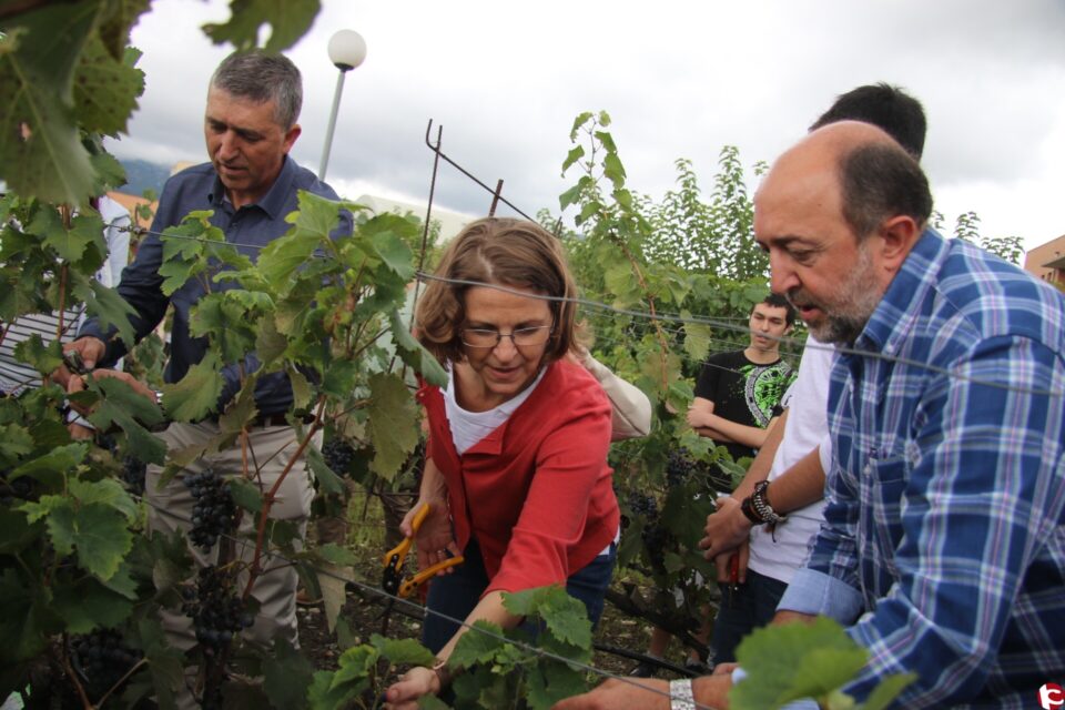 Cuatro universidades y dos consejerías apoyan el Proyecto Microviña