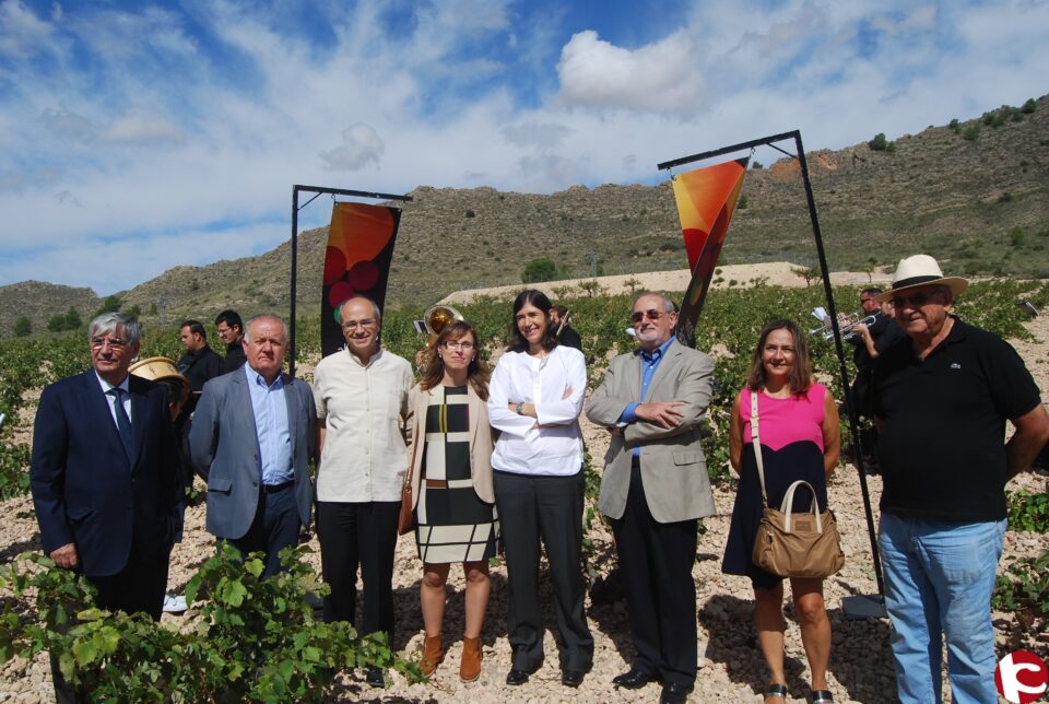 Villena acoge el acto de Vendimia Abierta de Alicante