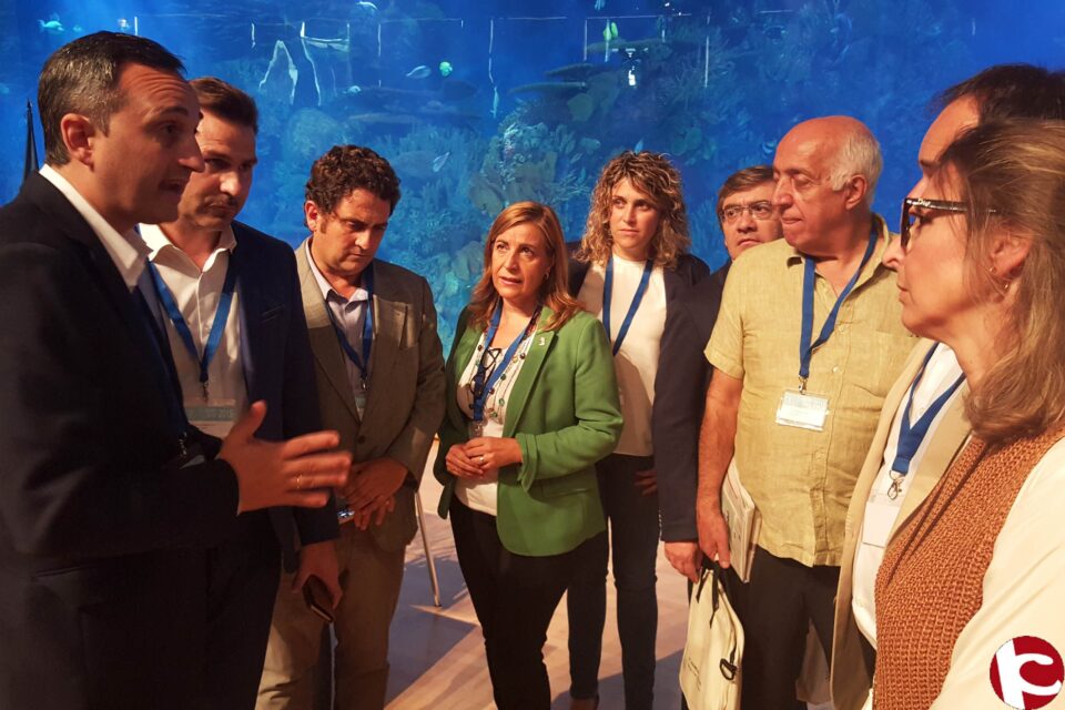 César Sánchez propone