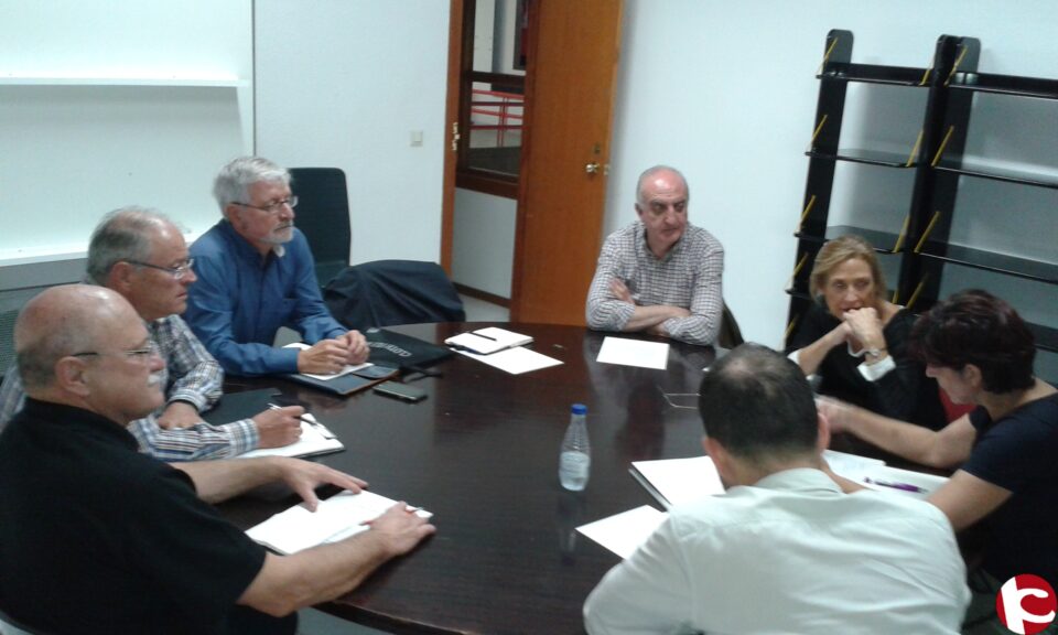 LAS COMISIONES DE TRABAJO SECTORIALES