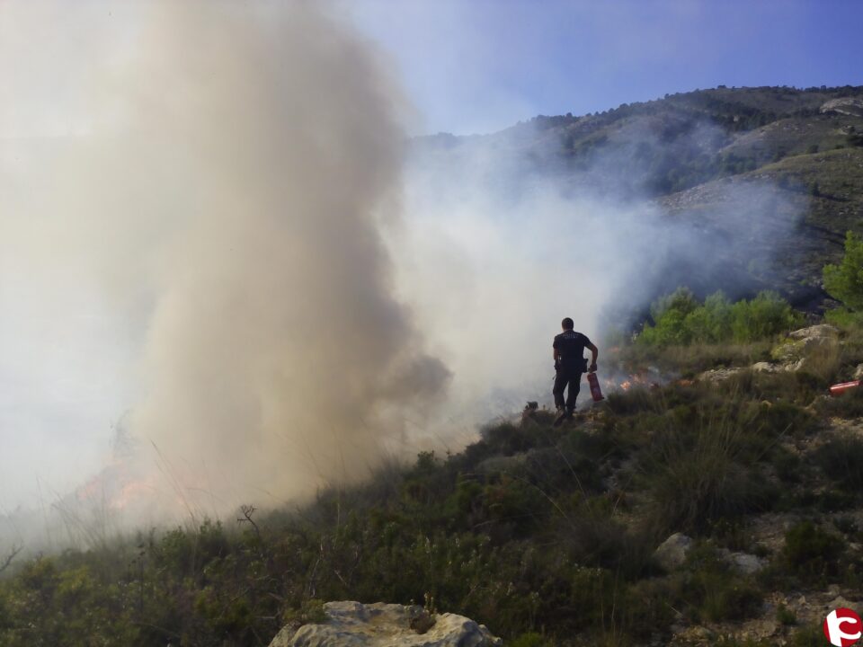 Incendio forestal