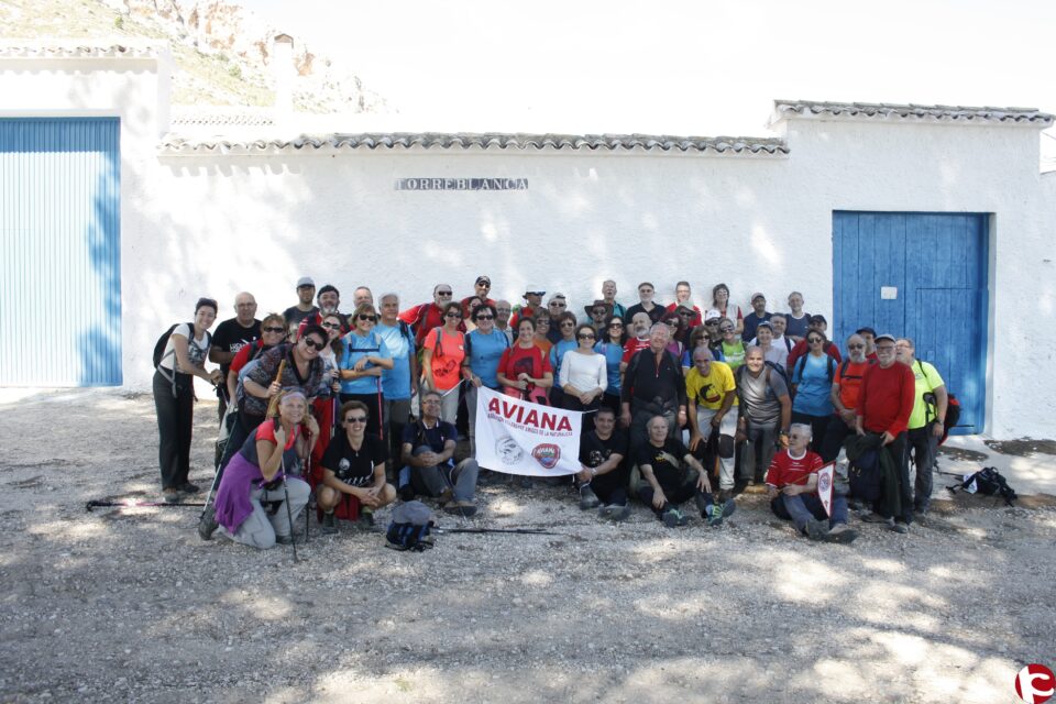 AVIANA EN CASTELLAR (BARRANCO DE LAS CABRAS)