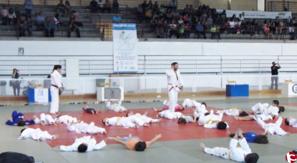 LOS NIÑOS Y NIÑAS DEL CLUB JUDELDA EN EL I FESTIVAL JUDÓPOLIS 2015
