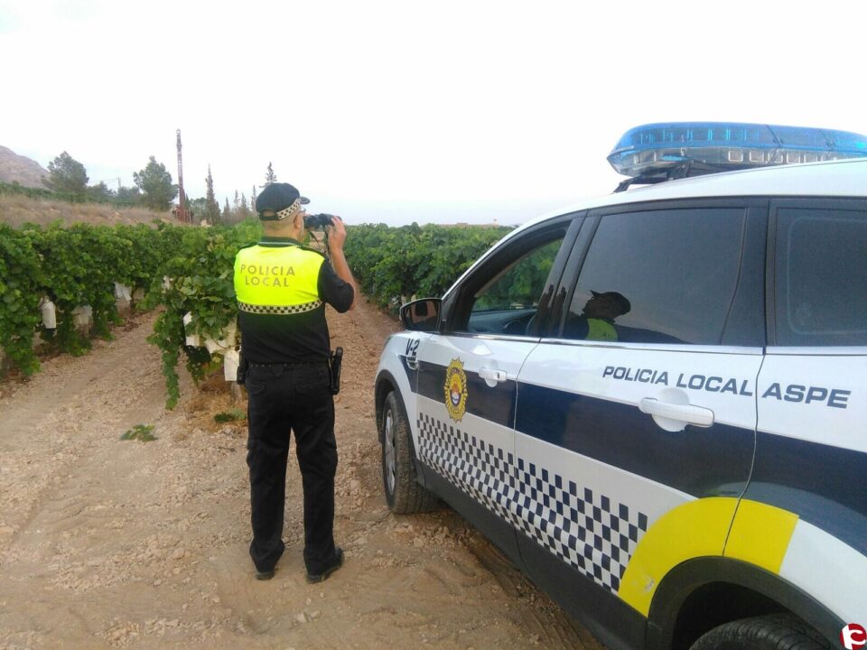 Disminuyen considerablemente Los robos en los primeros meses de la campaña de recolección de la uva de mesa en el término de Aspe