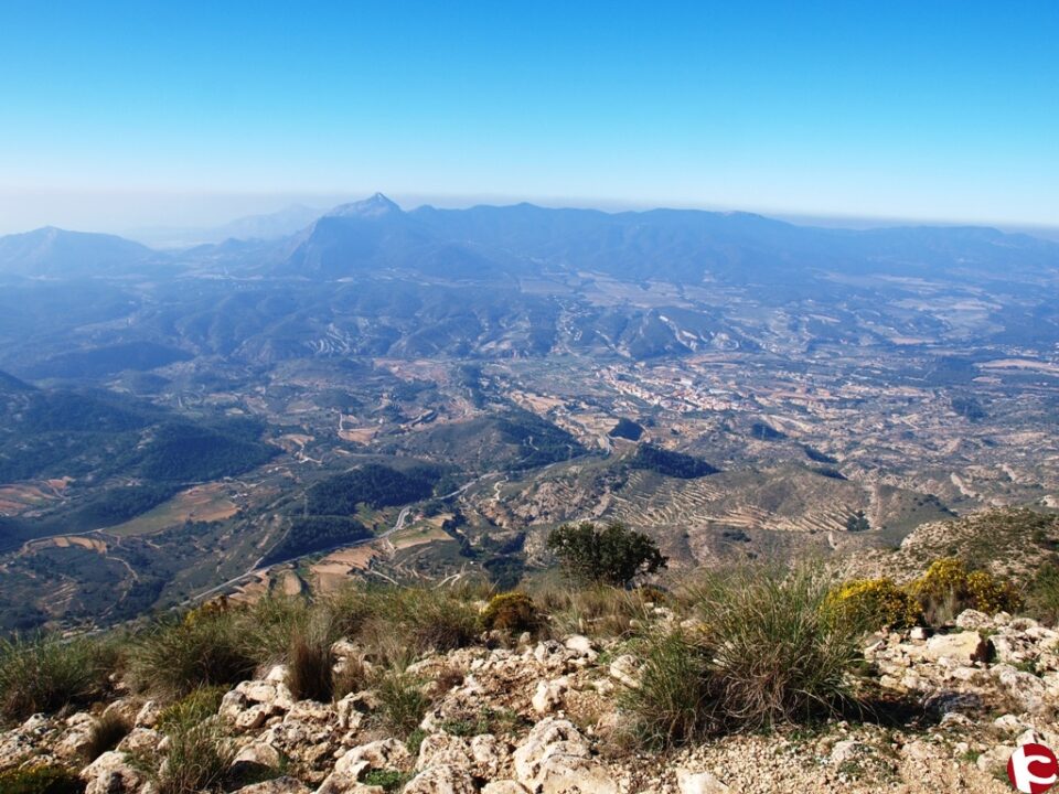 AVIANA EN LA PENYA MIGJORN (XIXONA)