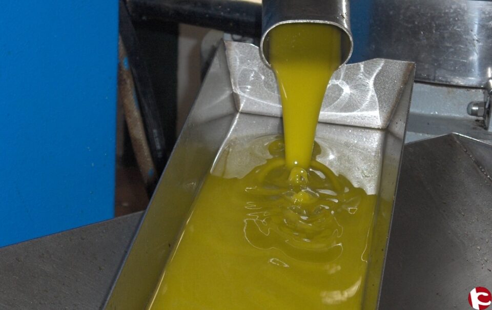 Masiva afluencia de usuarios en el inicio de la campaña de la aceituna 2015-2016