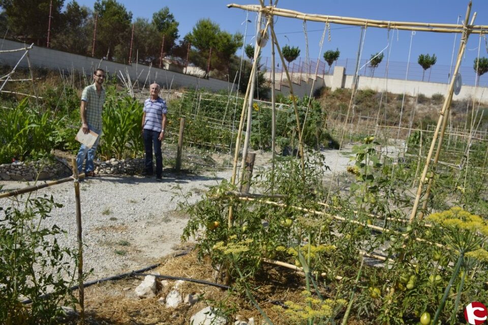 El Ayuntamiento renueva la concesión de parcelas de los Huertos Ecológicos Municipales