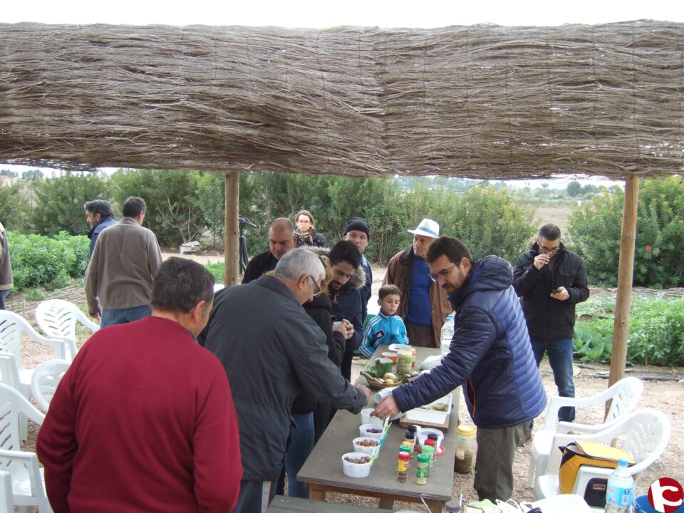 Ayuntamiento de Novelda y la Asociación de Huertos Ecológicos de Novelda organizaron la Jornada de puertas abiertas y convivencia con gran éxito de participación