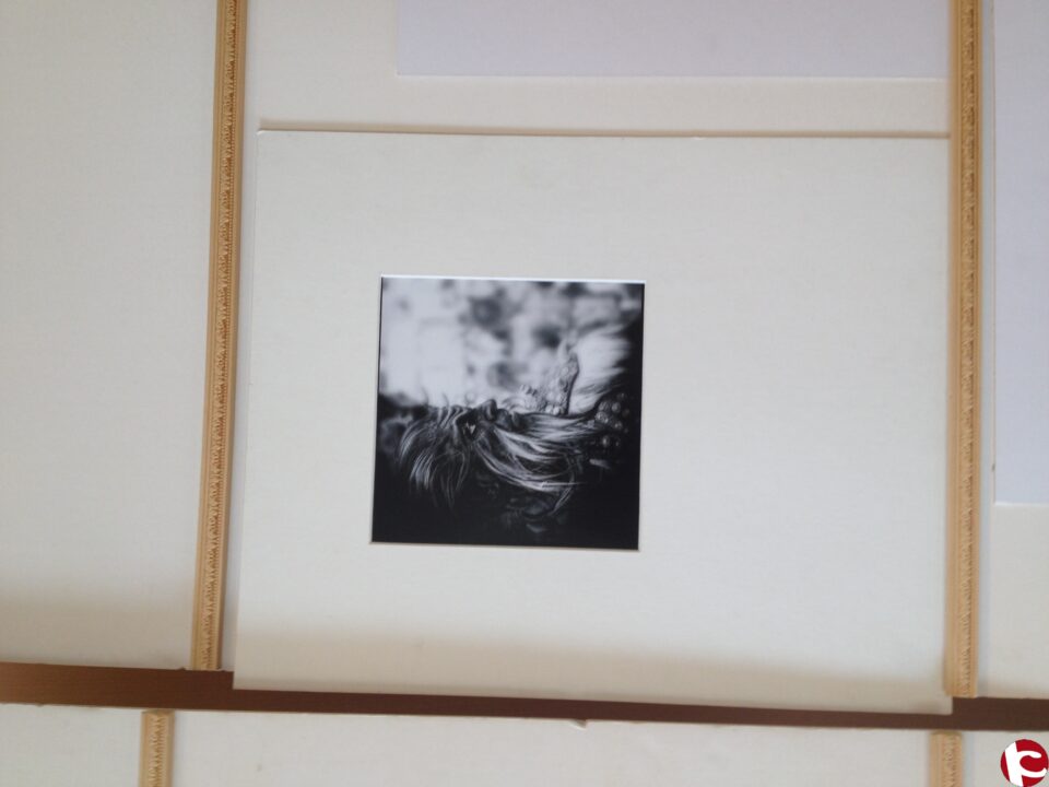 FALLO DEL CONCURSO DE FOTOGRAFÍAS DE LA JUNTA CENTRAL DE MOROS Y CISTIANOS