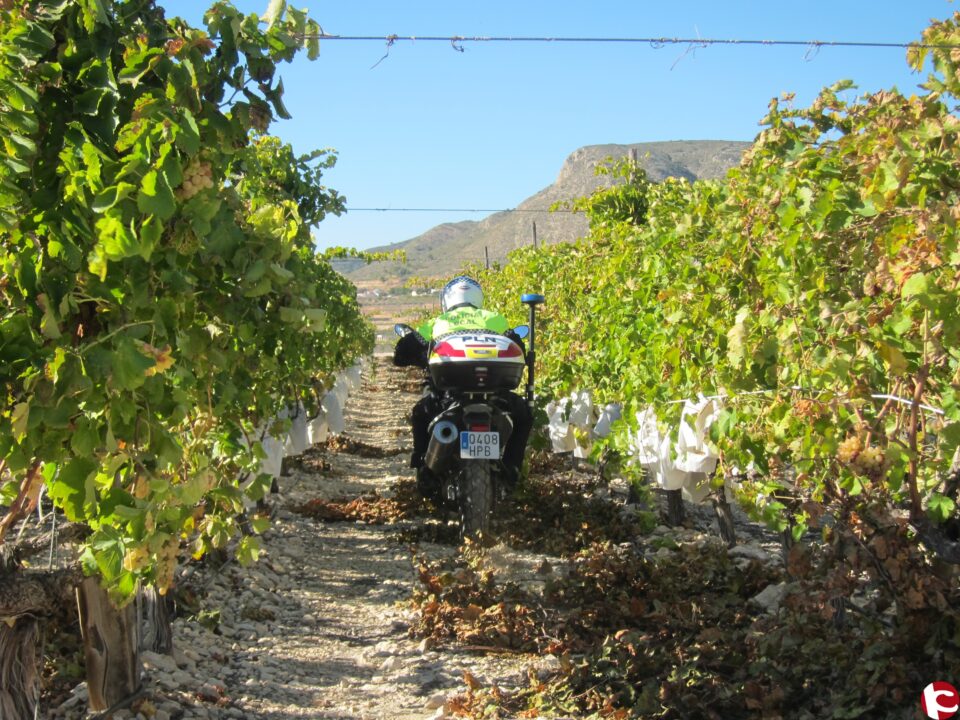 Culmina sin robos la campaña de vigilancia rural