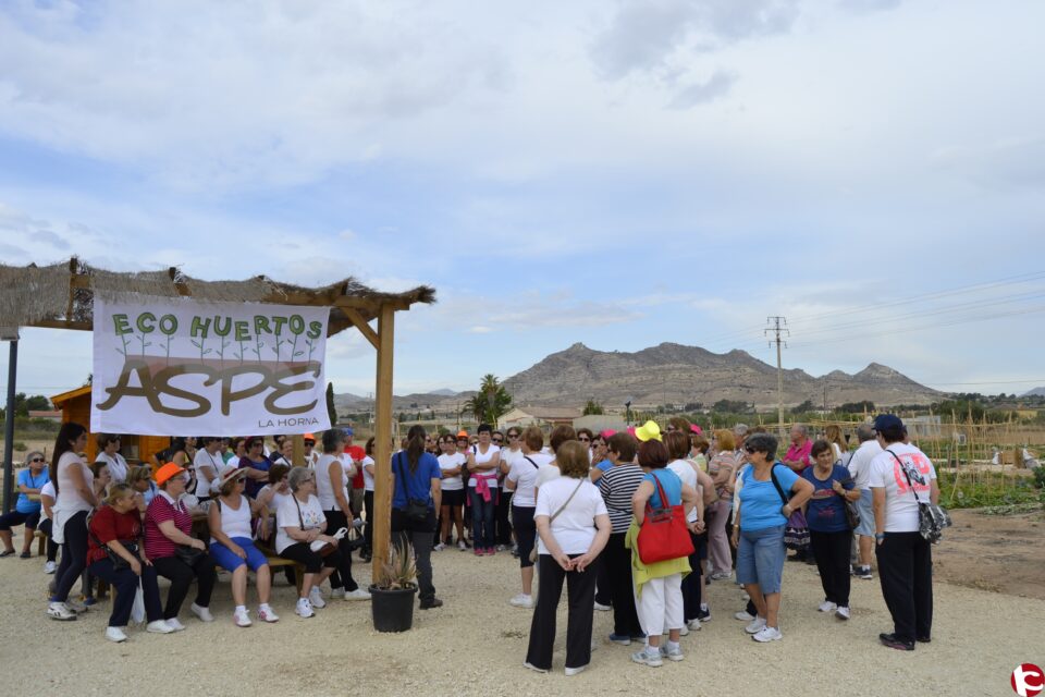 Aspe con la agricultura ecológica y la formación.