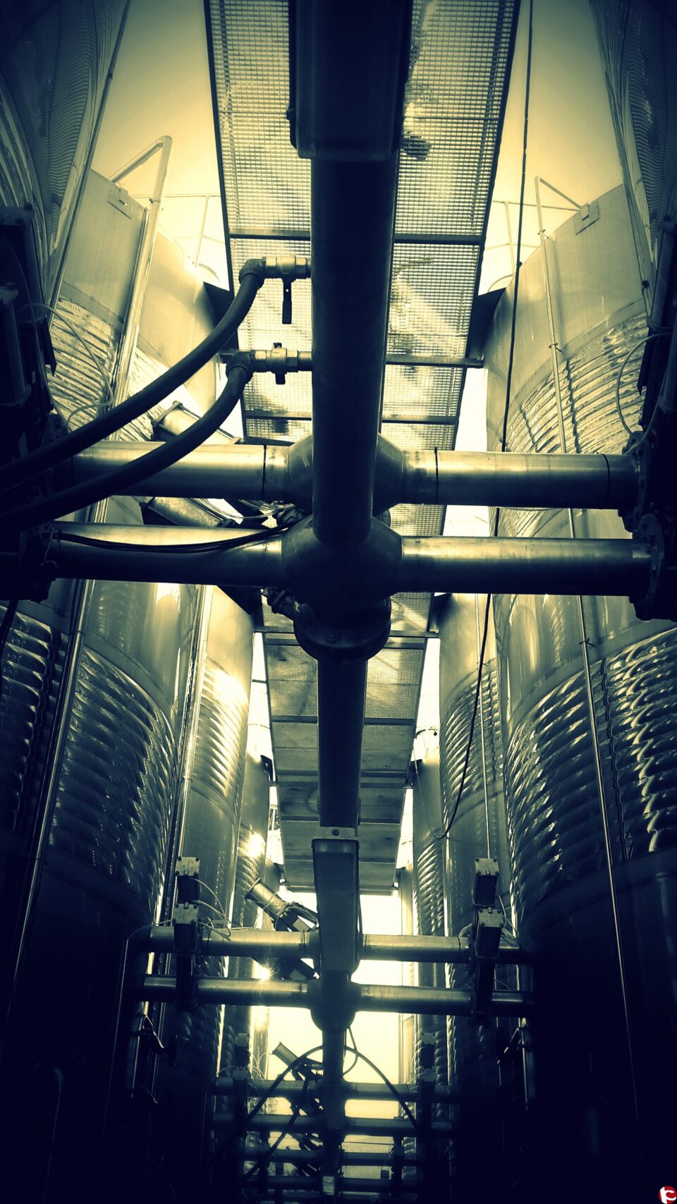 De ruta por Monóvar y Pinoso