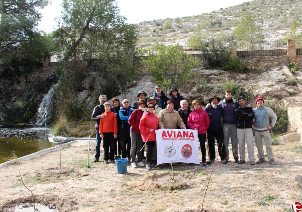Plantación árboles en la pinaa de las Virtudes por Aviana y Salvatierra con la colaboración del Ayuntamiento de Villena