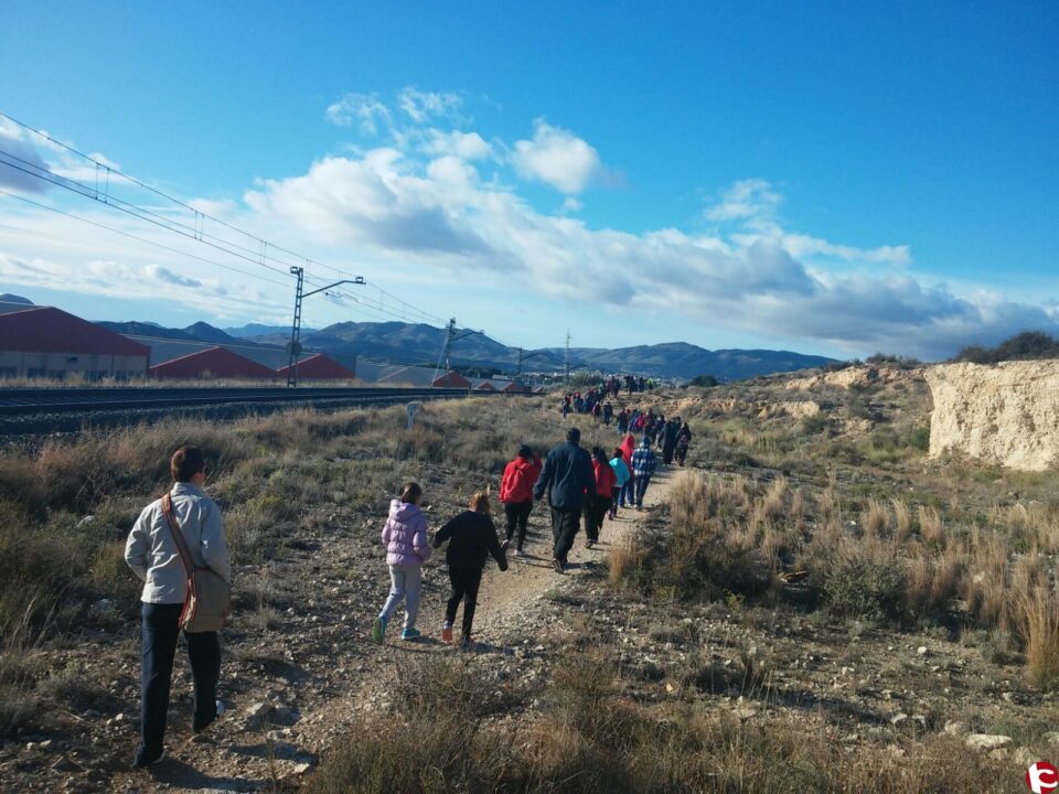 Más de 120 personas participaron el domingo en la repoblación de la pinada del Trinitario con motivo del Día del Árbol