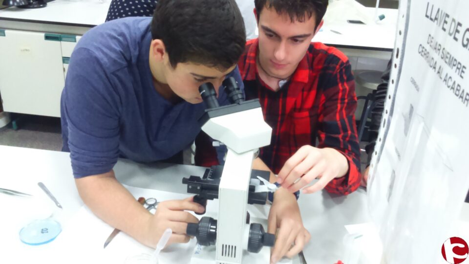 EL IES VALLE DE ELDA CELEBRA SU XV SEMANA DE LA CIENCIA