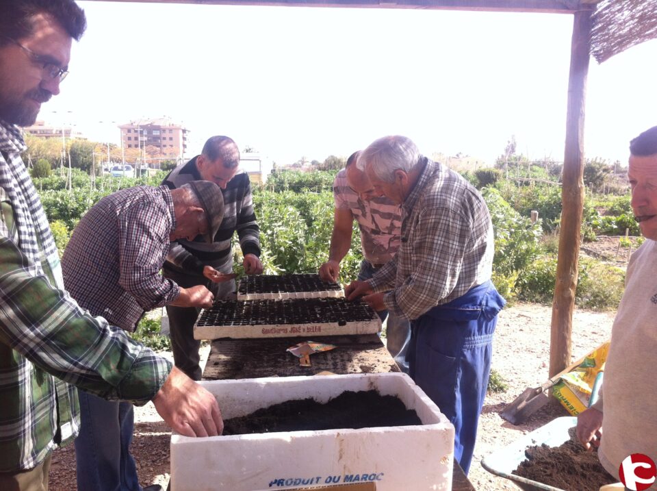 El Ayuntamiento de Novelda abre el plazo para solicitar una parcela en los Huertos Ecológicos