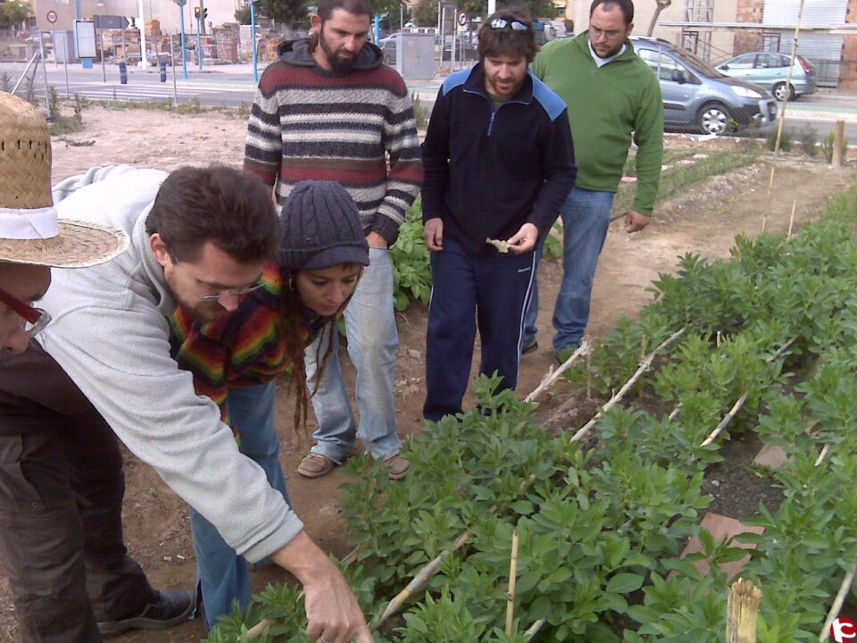 Se abre el plazo para solicitar parcela en los Huertos Ecológicos