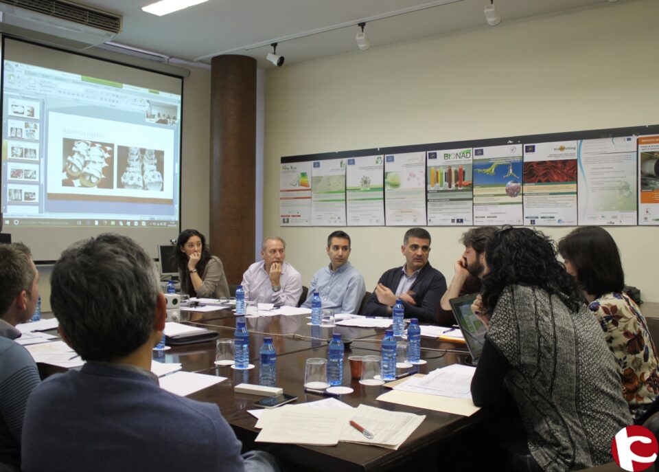 INESCOP reúne en Elda al Grupo de Trabajo sobre Seguridad del Calzado Infantil