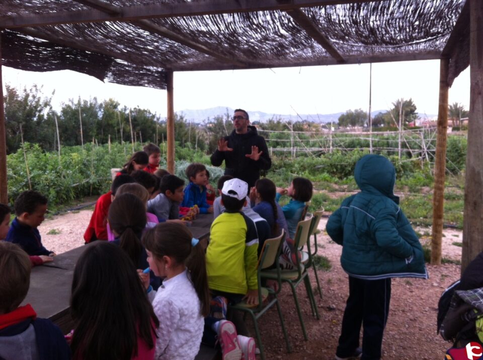 La concejalía de Medio Ambiente está organizando actividades de educación ambiental en varios centros educativos de la población