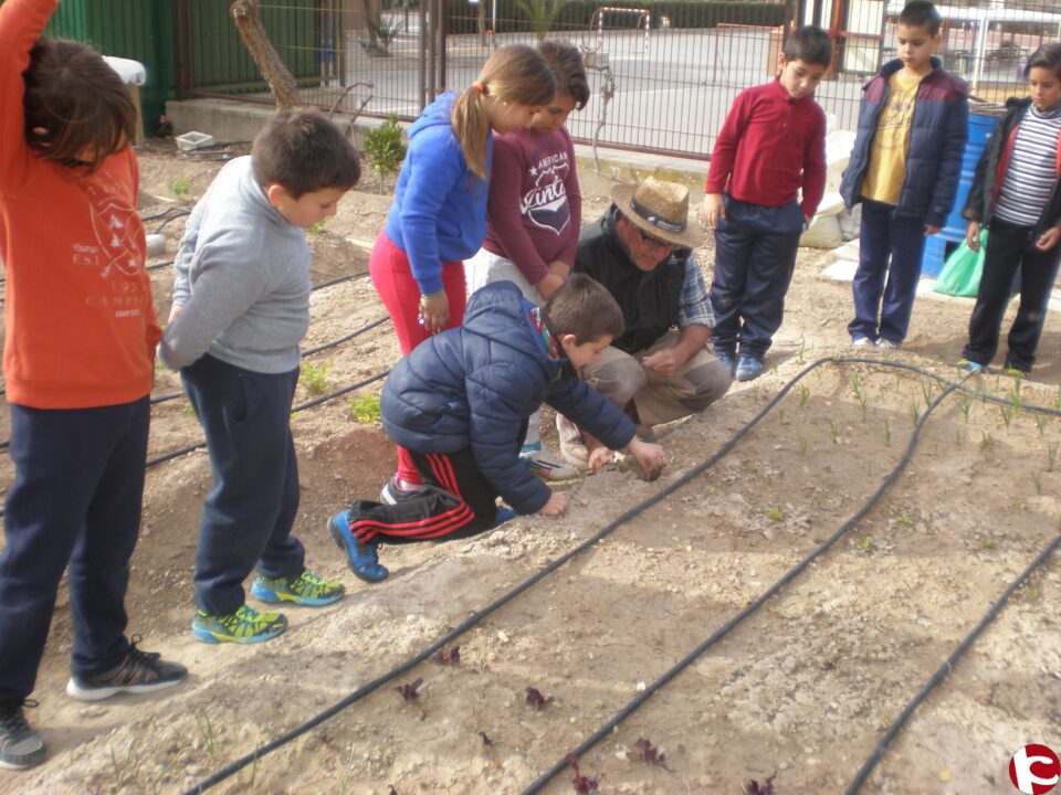 PROYECTO: HUERTO ECOLOGICO SANTO NEGRO