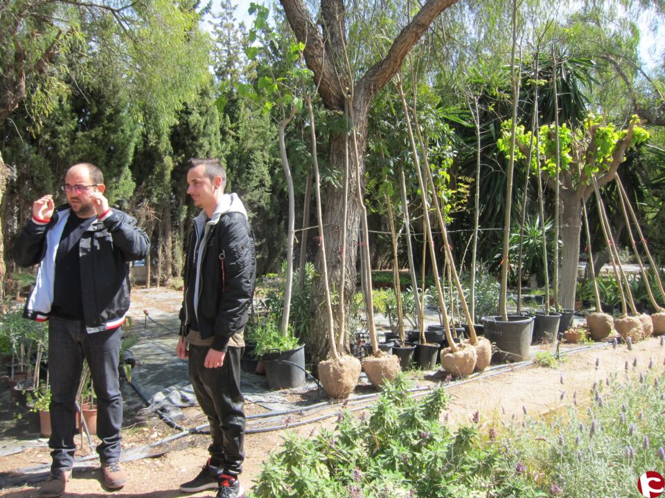 Parque y Jardines recibe la donación de cuarenta árboles