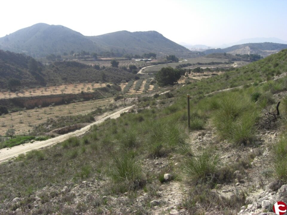 La Cañada Real recuperará su uso tradicional este domingo