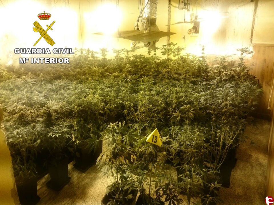 La Guardia Civil detiene a 14 personas y desmantela una organización de cultivo y venta de droga en Onil